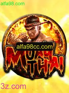 Descubra o Jogo de Tabuleiro MuayThai: Uma Experiência de Artes Marciais